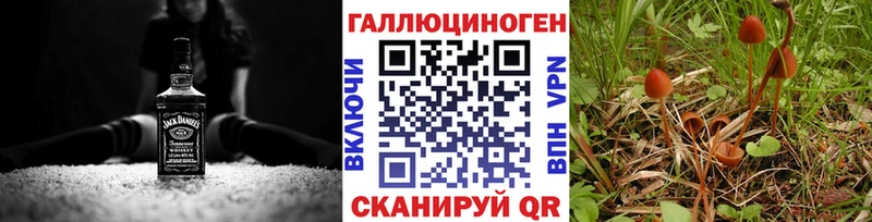 Купить  Карачаевск  Псилоцибиновые грибы Cubensis 